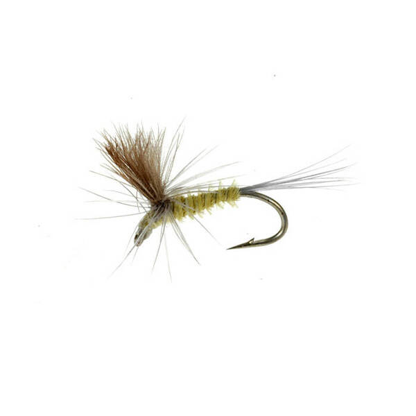 Parachute CDC Quill Body Olive (430)