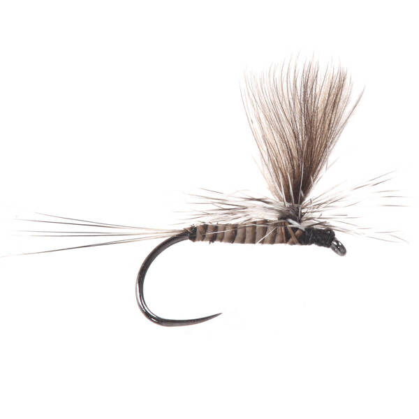 Parachute Quill Body CDC Natural