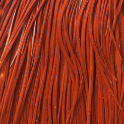 Capa de plumas del cuello de gallo Whiting Bronze