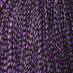 Hareline medio cuello de plumas