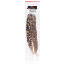 FFGene Plumas de ala de pavo real moteadas