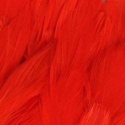 Hareline Plumas schlappen 5-7