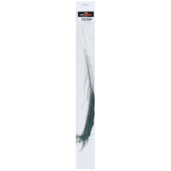 FFGene Plumas en forma de espada de la cola de pavo real