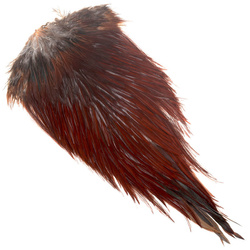 Colgadera de gallo FFGene India