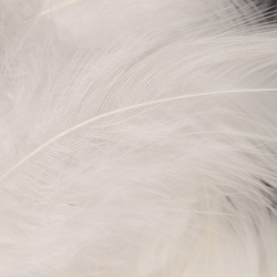Wapsi plumas para hackle blando Matuka White