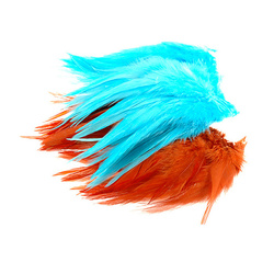 Wapsi Plumas de colgadera de gallo ensartadas White