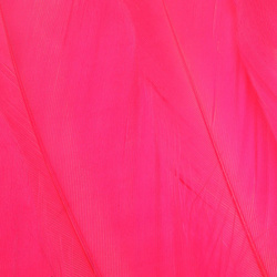 FFGene Hombros de ganso