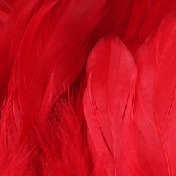 Hareline Plumas schlappen 5-7