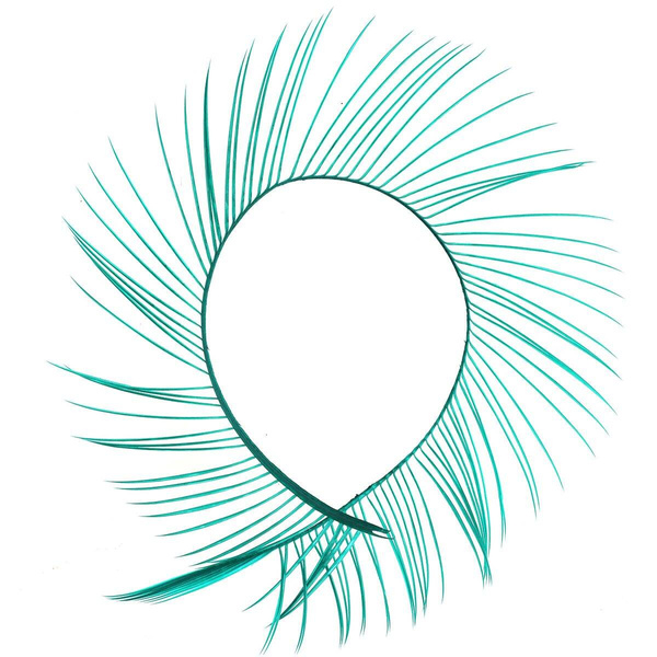 Biots de oca FFGene
