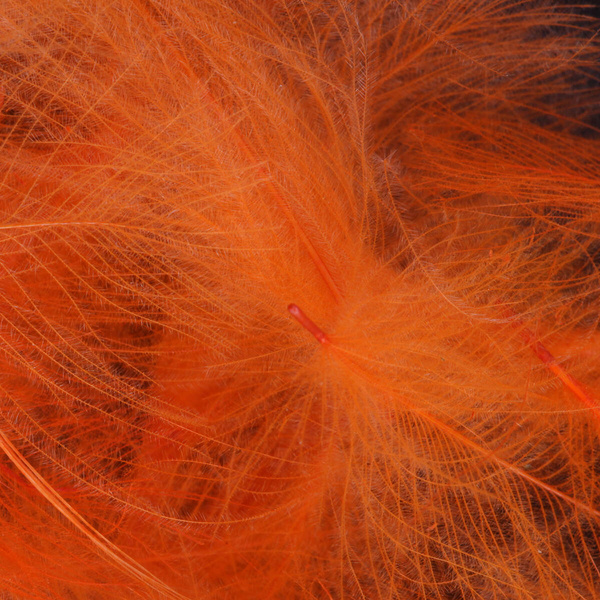 FFGene Paquete Jambo de plumas CDC teñidas - 1 gr