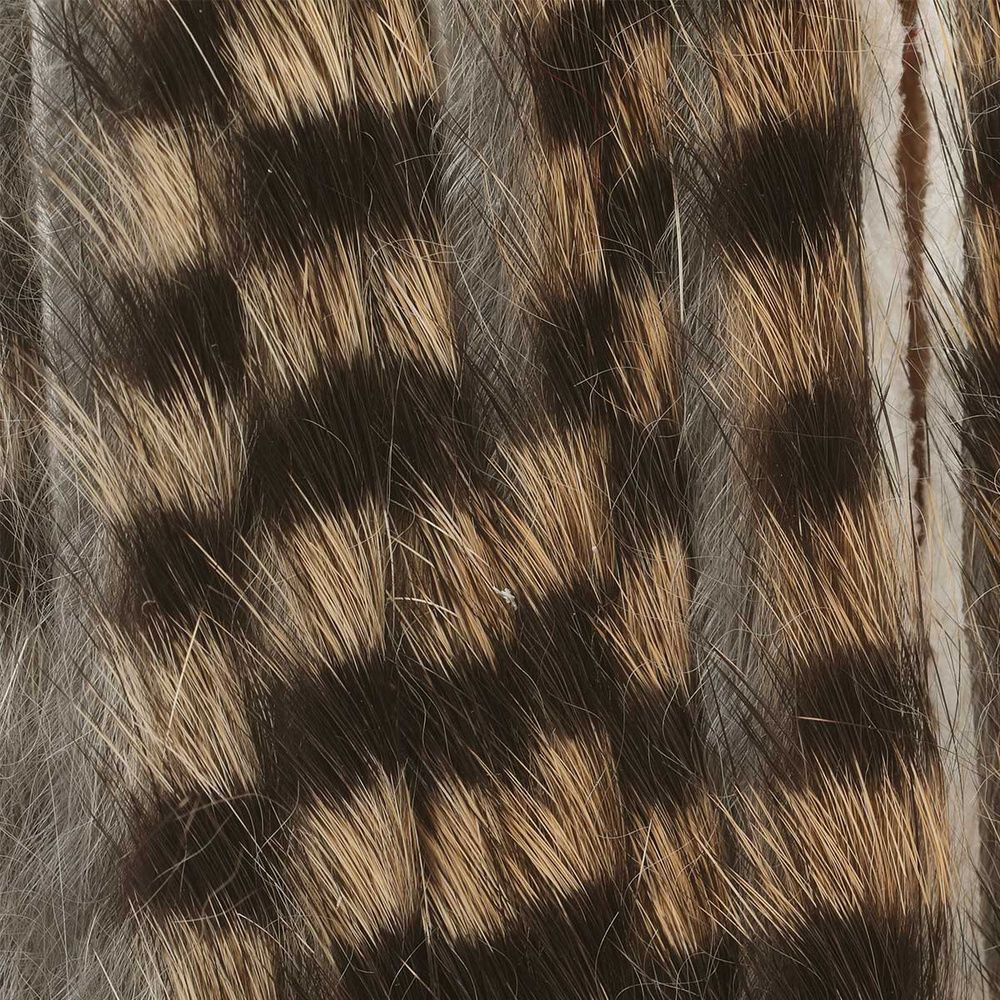 Standard Cut - Tan