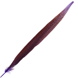 FFGene Plumas de cola de faisán dorado