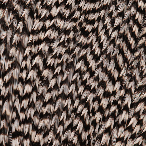 FFGene Howard Hackle cuello de plumas de gallo #3