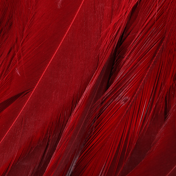 Hareline plumas de hackle de colgadera para Woolly Bugger 6-7
