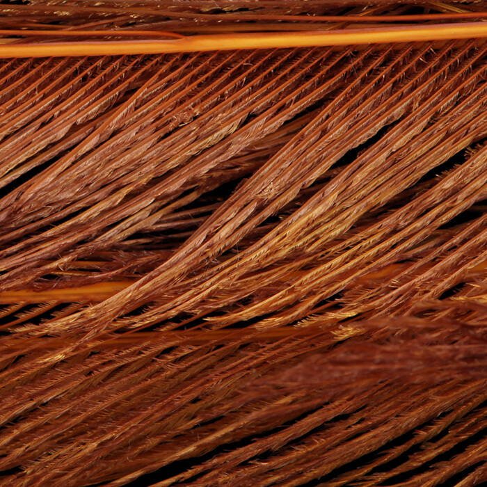 Orange Brown