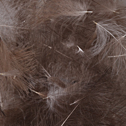 Hareline Plumas de CDC