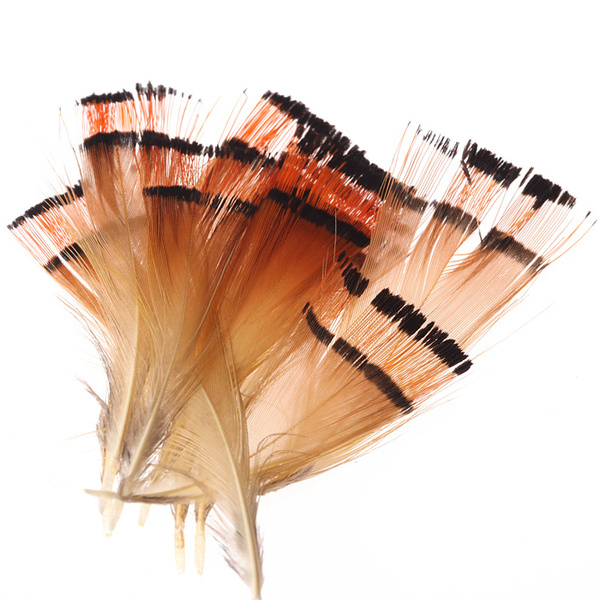 Hareline plumas tippet del cuello de faisán dorado