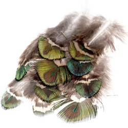 FFGene Plumas doradas del cuerpo de pavo real
