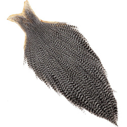 FFGene cuello de gallo de calidad comercial