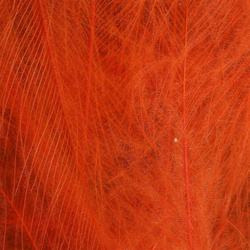 Plumas CDC seleccionadas Spirit River UV2