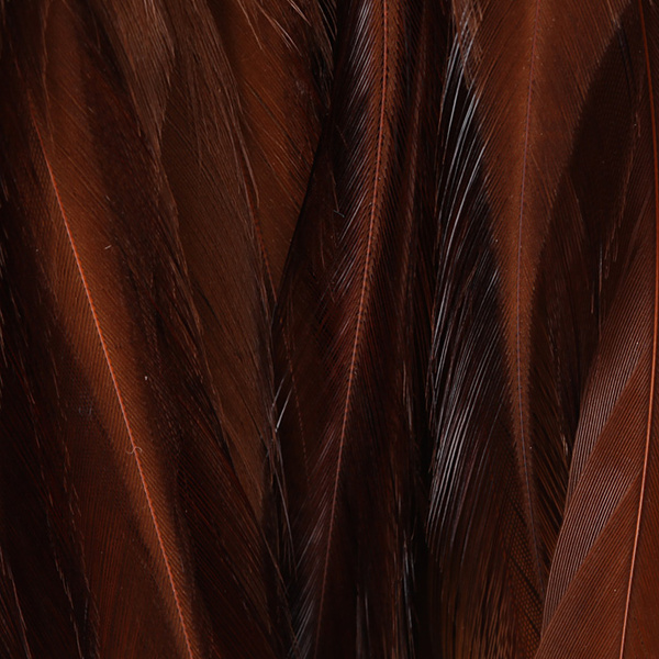 Hareline plumas de colgadera de gallo chino ensartadas 5-7