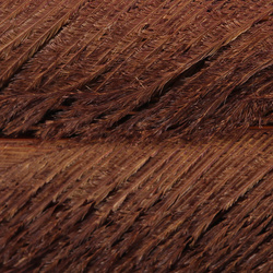 Plumas espada de cola de pavo real blanqueadas FFGene