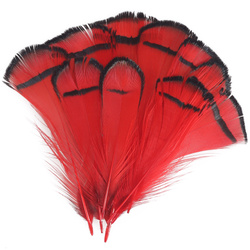 FFGene Plumas del cuello de faisán de Lady Amherst