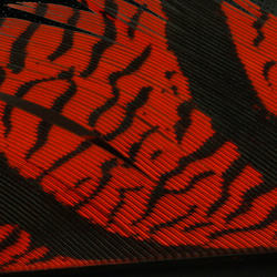 Hareline Plumas centrales de la cola de faisán de Amherst
