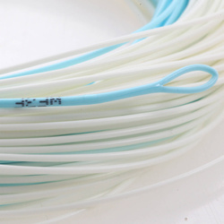 Línea de mosca Taimen Accuracy G -