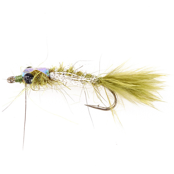 Damsel Oreja de Liebre Oliva