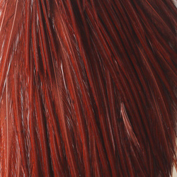 Hareline medio cuello de plumas