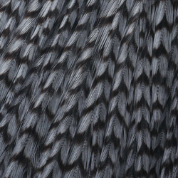 Ewing Sweet Spot Dyed