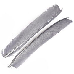 FFGene Biots de pluma de pavo