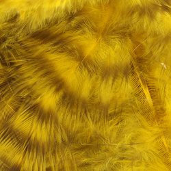 Hareline Grizzly plumas para hackle blando