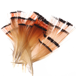 Hareline plumas tippet del cuello de faisán dorado