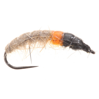 Hydropsyche Bronceado/Naranja