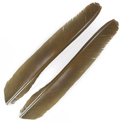FFGene Biots de pluma de pavo