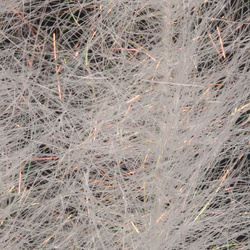 Cepillo H2O Flash Blend Baitfish de 2 pulgadas (flash)