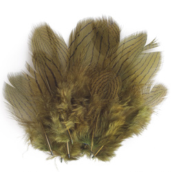 FFGene Plumas de faisán plateado