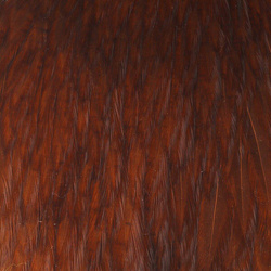 Hareline cuello de gallina