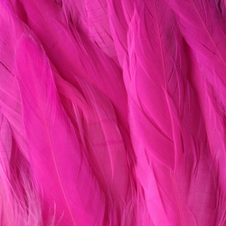 FFGene Gallo Schlappen