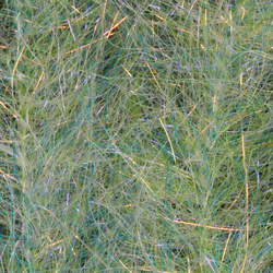 Cepillo H2O Flash Blend Baitfish de 2 pulgadas (flash)