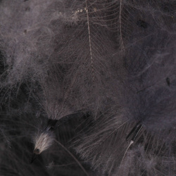 FFGene Paquete Jambo de plumas CDC teñidas - 1 gr