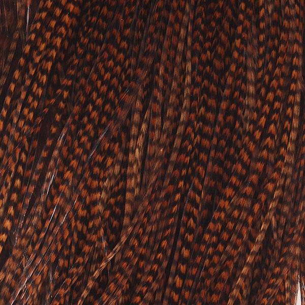 Colgadera de gallo para mosca seca Keough Hackle