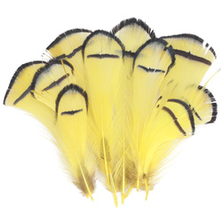 FFGene Plumas del cuello de faisán de Lady Amherst