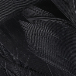 Hareline Plumas para hackle de soporte Intruder