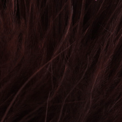 Marabú extragrande Blood Quill FFGene (12-15cm)