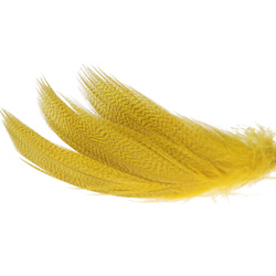Hareline Plumas del flanco de ánade real