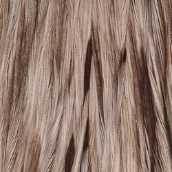 FFGene Howard Hackle cuello de plumas de gallo #3