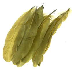 FFGene Plumas rígidas del hombro del ala de ganso